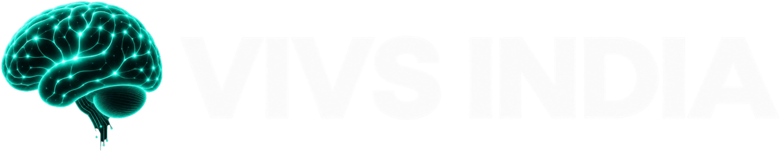 vivsindia.com