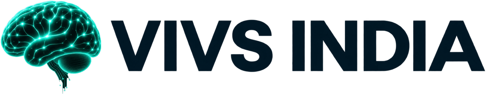 vivsindia.com